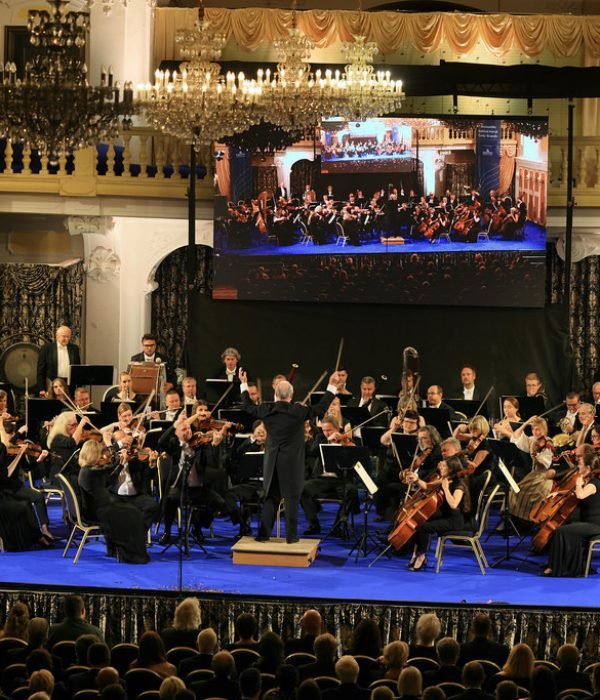 53094811321_327db13f78_b